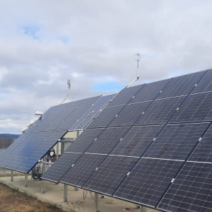 Zdjęcie WhatsApp 2024-04-25 o 21.01.24_3d2a55ca